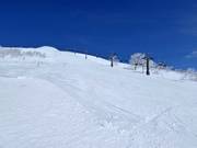 Piste difficile Champion (Annupuri)