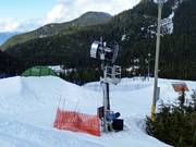 Canon à neige au Cypress Mountain
