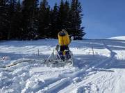 Canon à neige au Rosskopf