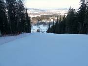 Piste forestière de difficulté moyenne