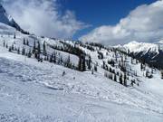 Vue sur la Lizard Bowl