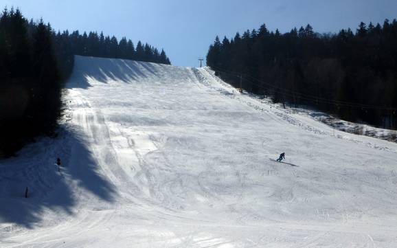 Diversité des pistes Waldshut – Diversité des pistes Menzenschwand (St. Blasien) – Spießhorn