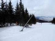 Lance à neige dans le domaine skiable Le Massif de Charlevoix