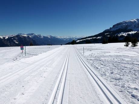 Ski nordique Alpes glaronaises – Ski nordique Flumserberg