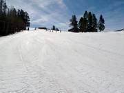 Large piste Friedl´s