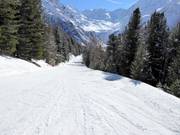 Piste de liaison Kanzel-Seilbahn