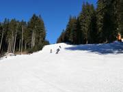 Piste intermédiaire au télésiège