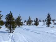 Pistes de ski de fond à Idre Himmelfjäll