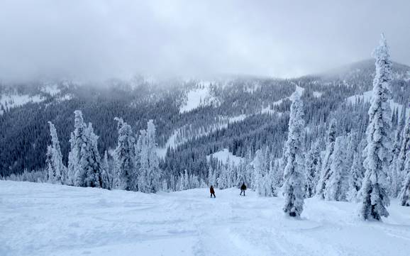 Domaines skiables pour skieurs confirmés et freeriders Chaîne de Monashee – Skieurs confirmés, freeriders Red Mountain Resort – Rossland