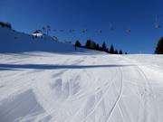 Piste intermédiaire Topolino