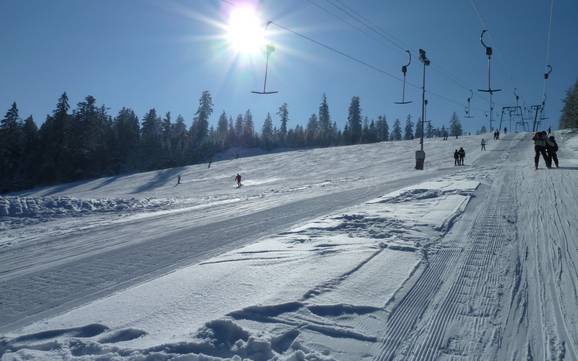 Domaines skiables pour les débutants dans la Murgtal (vallée de la Murg) – Débutants Kaltenbronn