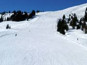 Large piste n° 64 Bärenbadkogel 2