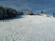 Piste noire Postalm Standard