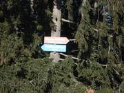 Signalisation des pistes