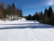 Piste facile vers Mühlbach