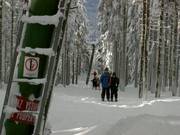 Pancíř vlek - Téléski à pioches