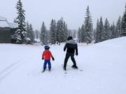 Zone d'entraînement au tapis roulant Porcupine