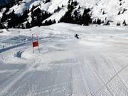Piste de course avec chronométrage