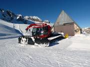 Dameuse au glacier Presena