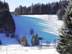 Plan des pistes Wehrhalden