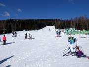 Piste d'entraînement Harmony