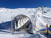 Almwiese - Tapis roulant/Moving Carpet recouvert d’une galerie