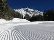 Piste damée à Ramsau am Dachstein