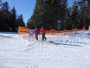 Bon plan pour les enfants :  - Les pistes de luge d'Arber