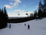 Piste facile Târnbakken