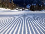 Piste fraîchement préparée dans le domaine skiable Loser