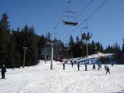 Piste pour débutants au Magic Chair