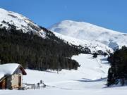 Piste de ski de fond d'altitude "La Muntagnarda"