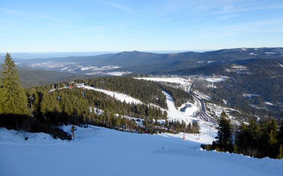 Zwieseler Winkel: Taille des domaines skiables – Taille Arber