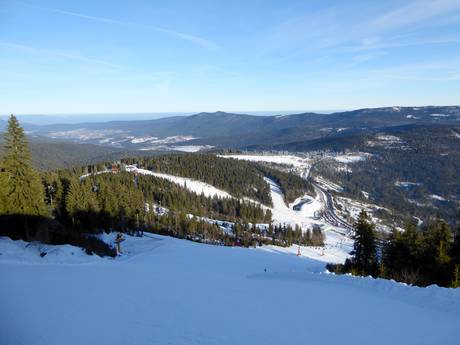 Forêt de Bavière: Taille des domaines skiables – Taille Arber