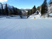 Piste n° 30 Tschein