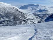 Piste à vagues Myrkdalscrossen n° 12