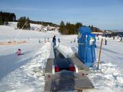 Parfait pour débuter : un tapis roulant