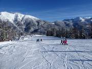 Piste facile Mosenabfahrt