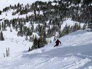 Piste raide au télésiège Sugarloaf
