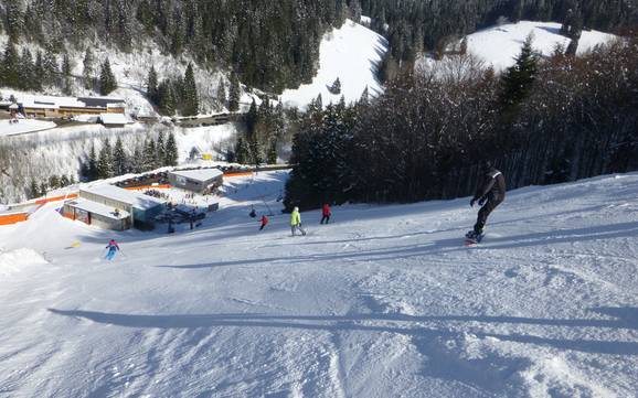 Domaines skiables pour skieurs confirmés et freeriders Breisgau-Hochschwarzwald – Skieurs confirmés, freeriders Feldberg – Seebuck/Grafenmatt/Fahl