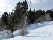 Enneigement par canons à neige dans le domaine skiable de Jackson Hole