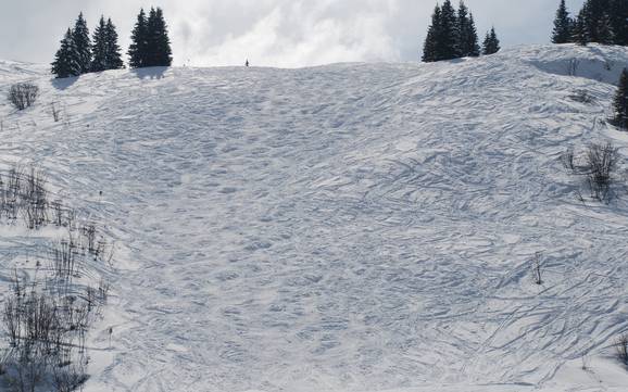 Domaines skiables pour skieurs confirmés et freeriders Val d'Arly – Skieurs confirmés, freeriders Espace Diamant – Les Saisies/Notre-Dame-de-Bellecombe/Praz sur Arly/Flumet/Crest-Voland