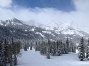 Vue sur le domaine skiable de Brighton
