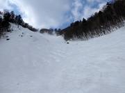 Piste à bosses Premium Zone