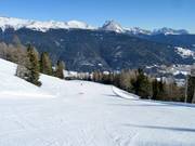 De larges pistes dominent dans la Ski Area Val Comelico.