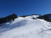 Descente familiale Brandlalm