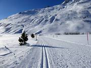 Piste de ski de fond à Andermatt