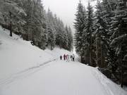 Départ de la descente Haba