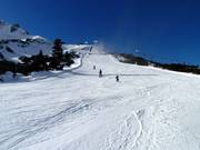 Partie supérieure de la piste familiale