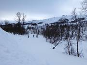 Piste de ski de fond à Tänndalen